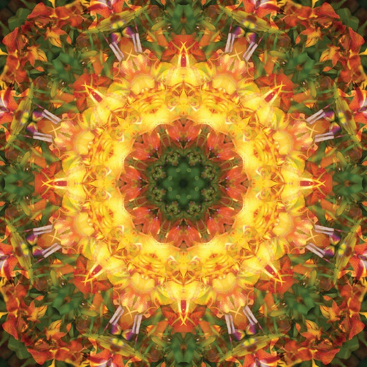 Colorful Kaleidoscope XV