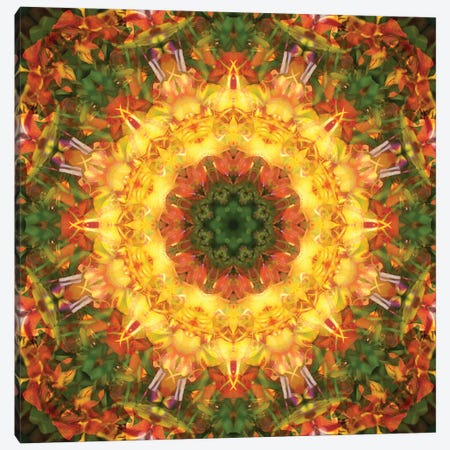 Colorful Kaleidoscope XV Canvas Print #NNA19} by Anna Miller Art Print