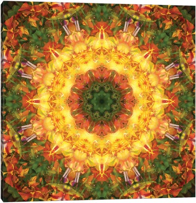Colorful Kaleidoscope XV Canvas Art Print