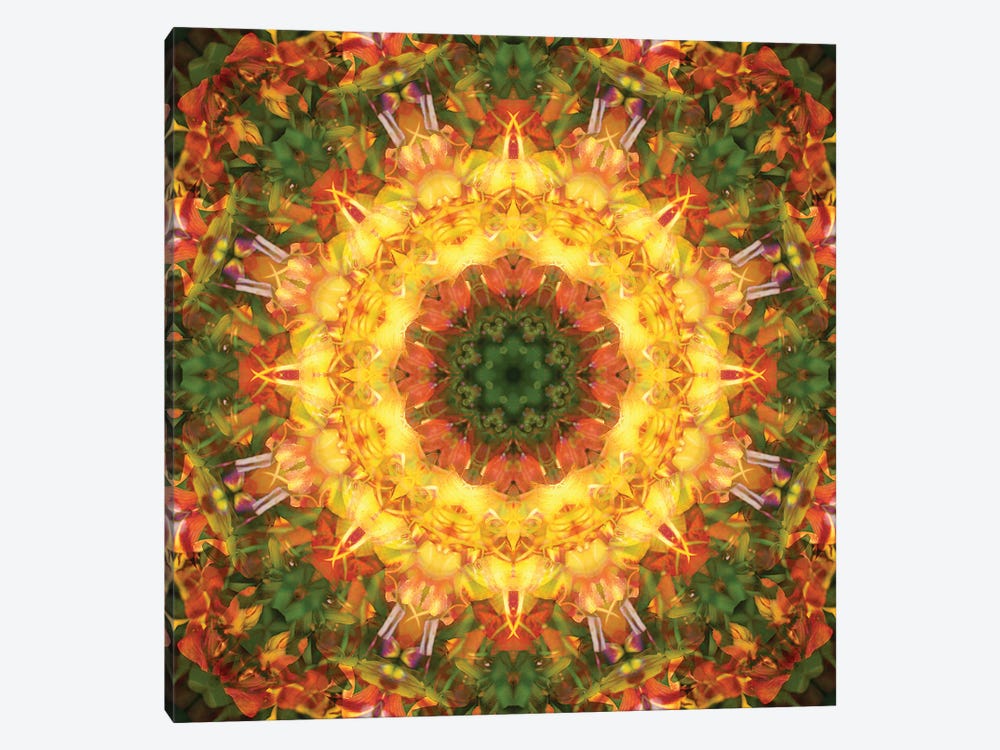 Colorful Kaleidoscope XV by Anna Miller 1-piece Canvas Print