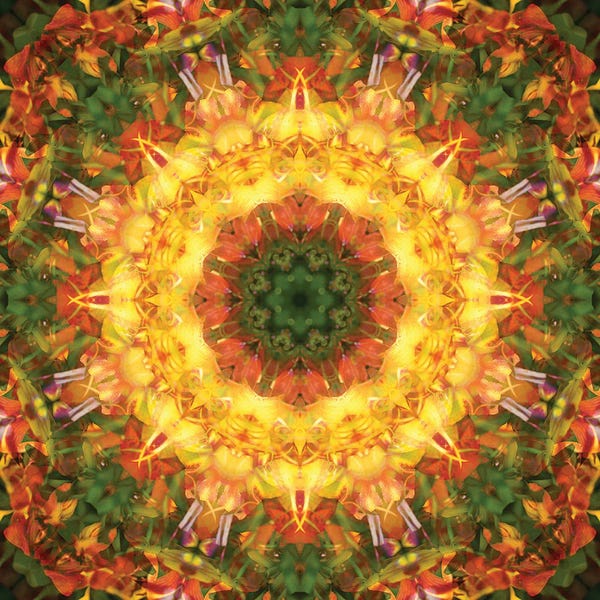 Anna Miller: Colorful Kaleidoscope XV by Anna Miller