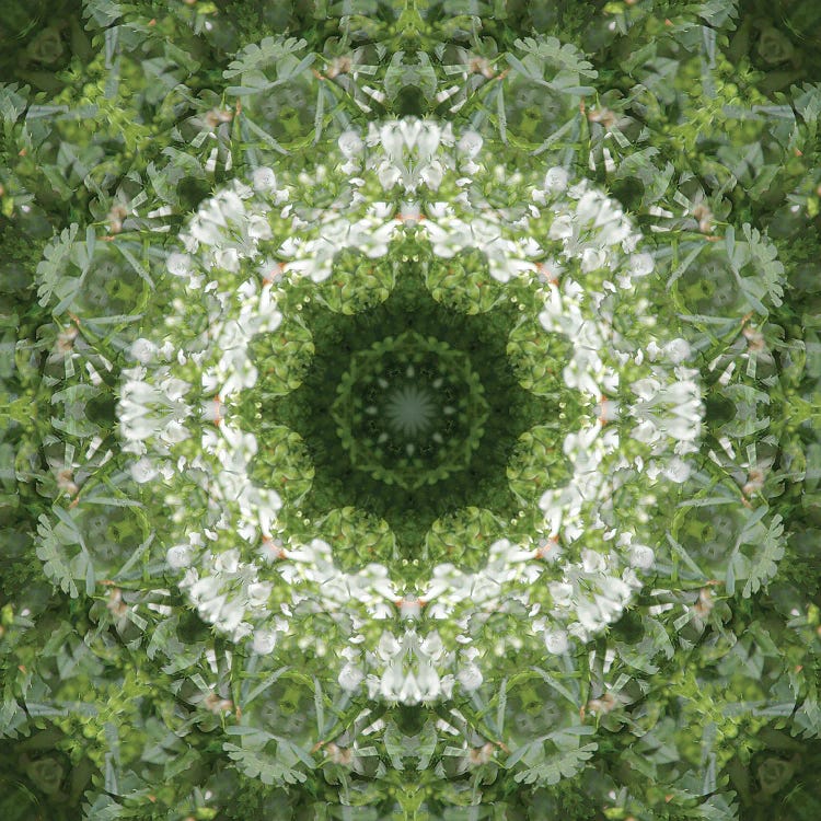 Colorful Kaleidoscope XVI