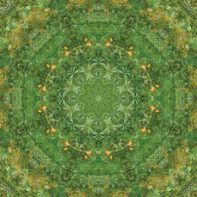 Colorful Kaleidoscope XVII by Anna Miller acrylic art print