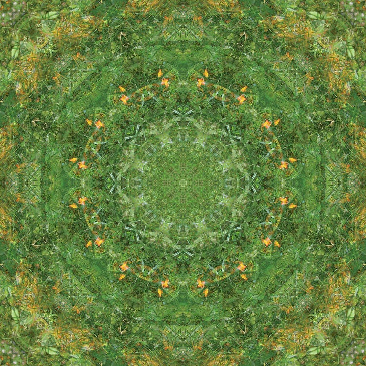 Colorful Kaleidoscope XVII