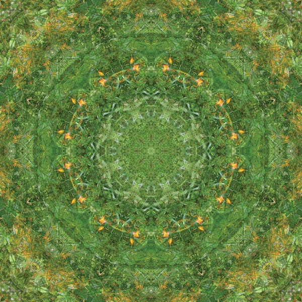 Anna Miller: Colorful Kaleidoscope XVII by Anna Miller