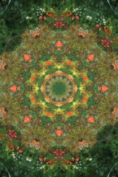 Colorful Kaleidoscope XVIII by Anna Miller acrylic art print