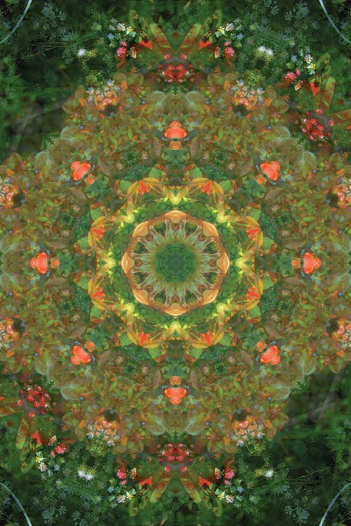 Colorful Kaleidoscope XVIII