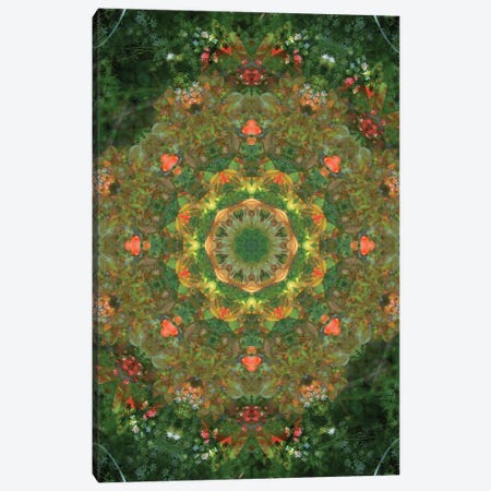 Colorful kaleidoscope. Canvas Print #NNA22} by Anna Miller Canvas Artwork