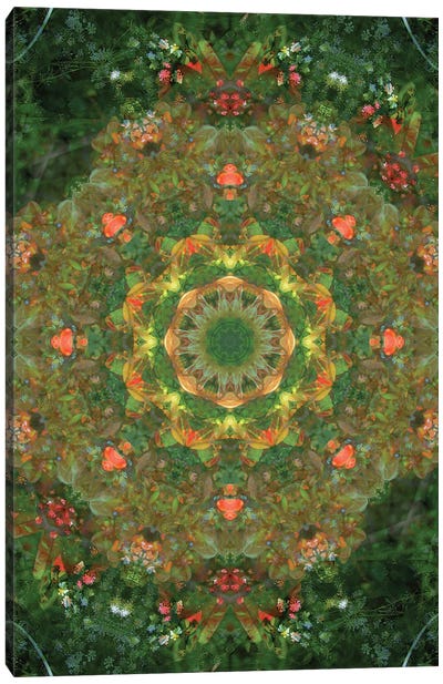 Colorful Kaleidoscope XVIII Canvas Art Print