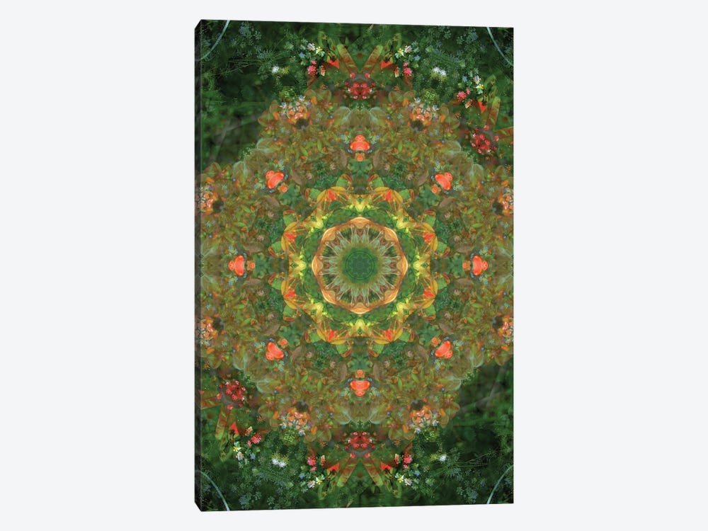 Colorful Kaleidoscope XVIII 1-piece Canvas Print