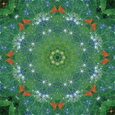 Colorful Kaleidoscope XIX by Anna Miller canvas print