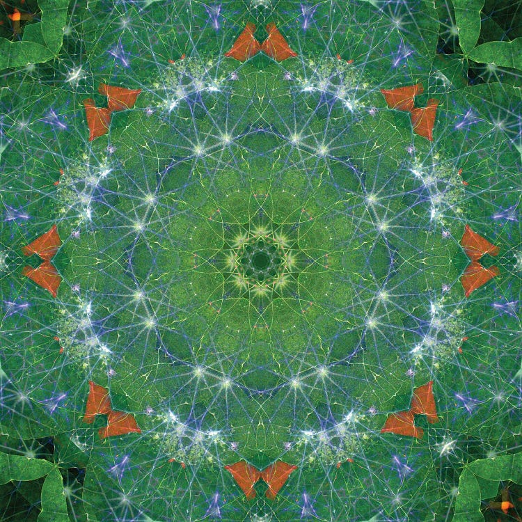 Colorful Kaleidoscope XIX