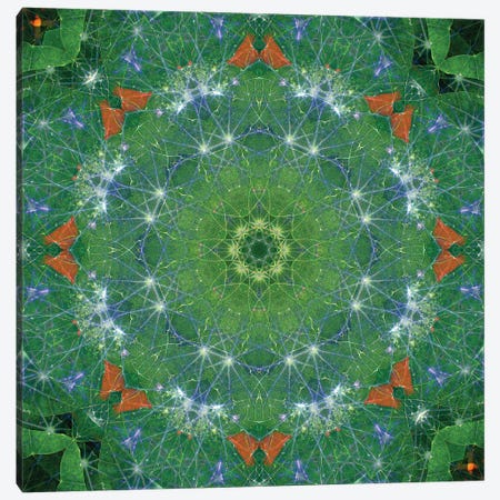 Colorful Kaleidoscope XIX Canvas Print #NNA27} by Anna Miller Art Print