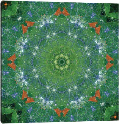 Colorful Kaleidoscope XIX Canvas Art Print
