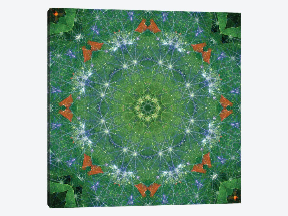 Colorful Kaleidoscope XIX by Anna Miller 1-piece Canvas Wall Art