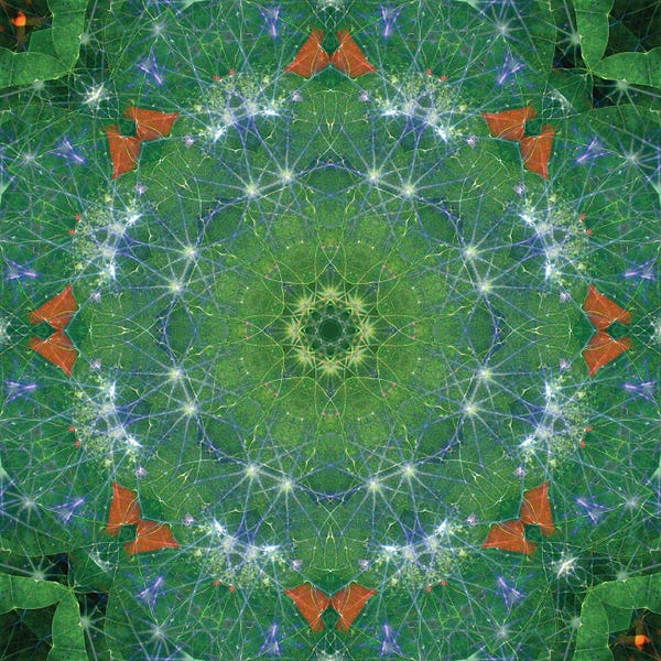 Anna Miller: Colorful Kaleidoscope XIX by Anna Miller