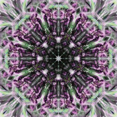 Colorful Kaleidoscope XX by Anna Miller acrylic art print