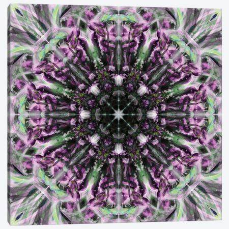 Colorful Kaleidoscope XX Canvas Print #NNA28} by Anna Miller Canvas Art