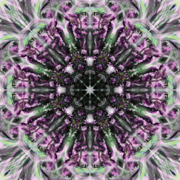 Anna Miller: Colorful Kaleidoscope XX by Anna Miller