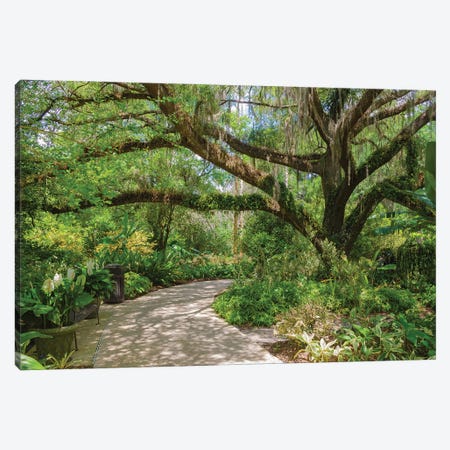 USA, Florida. Tropical garden with palm trees and living oak covered in Spanish moss. Canvas Print #NNA31} by Anna Miller Art Print