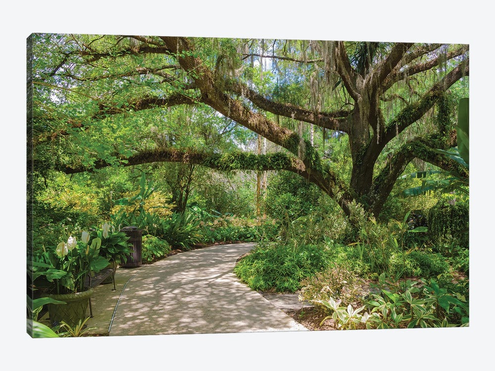 USA, Florida. Tropical garden with palm trees and living oak covered in Spanish moss. by Anna Miller 1-piece Art Print