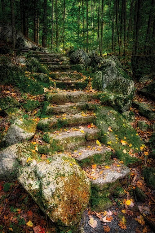 Staircase To Wigwam Falls, Virginia, Blue Ridge Parkway