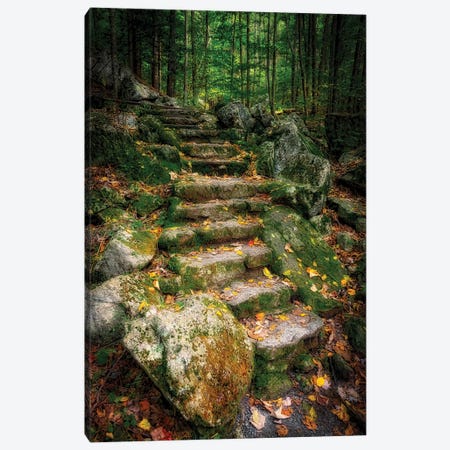 Staircase To Wigwam Falls, Virginia, Blue Ridge Parkway Canvas Print #NNA34} by Anna Miller Canvas Art