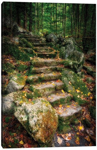 Staircase To Wigwam Falls, Virginia, Blue Ridge Parkway Canvas Art Print