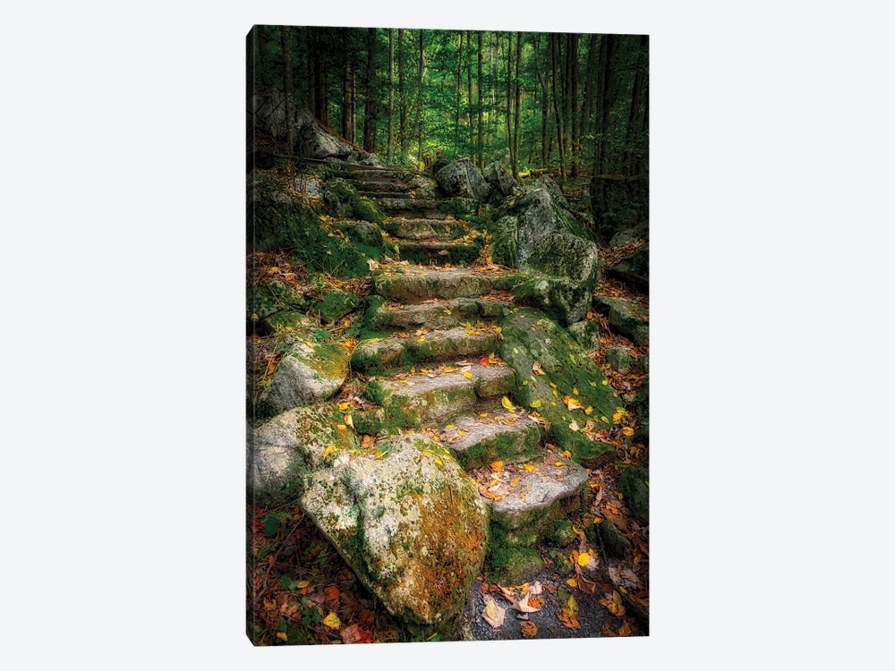 Staircase To Wigwam Falls, Virginia, Blue Ridge Parkway by Anna Miller 1-piece Canvas Wall Art