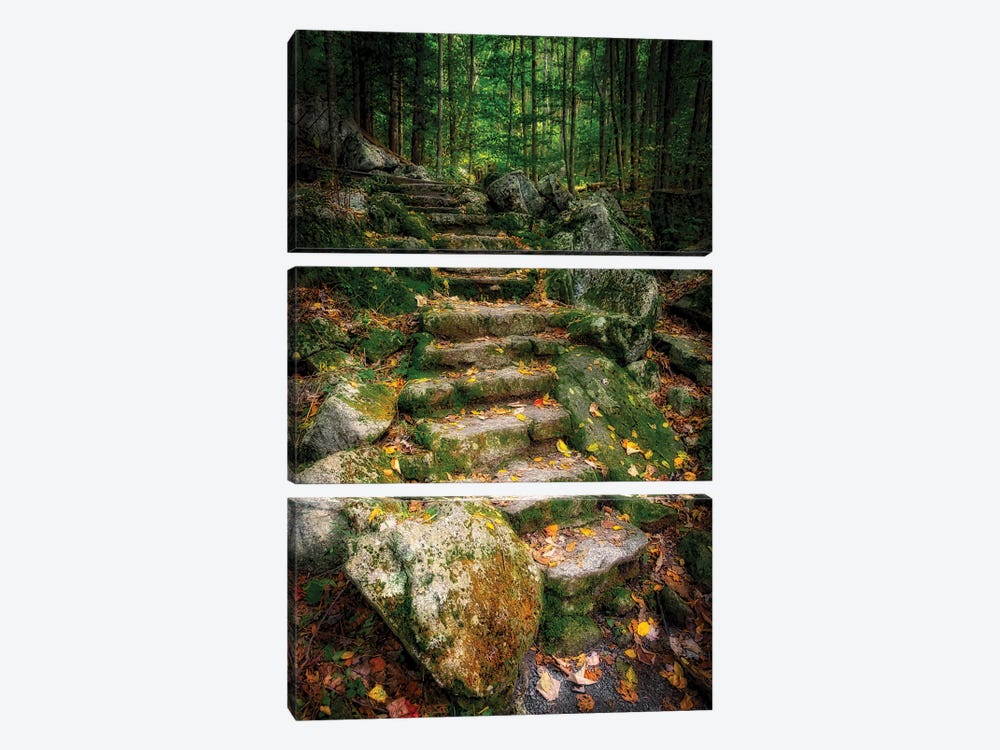 Staircase To Wigwam Falls, Virginia, Blue Ridge Parkway by Anna Miller 3-piece Canvas Wall Art
