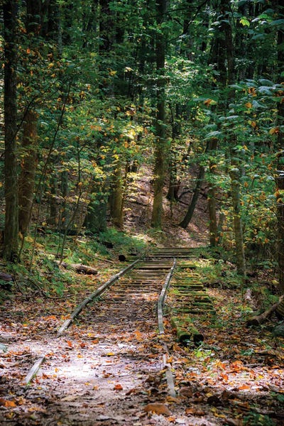 Anna Miller: Wigwam Falls, Virginia, Blue Ridge Parkway by Anna Miller