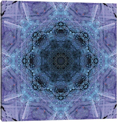 Colorful Kaleidoscope I Canvas Art Print - Pantone 2022 Very Peri
