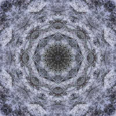 Colorful Kaleidoscope II by Anna Miller canvas print