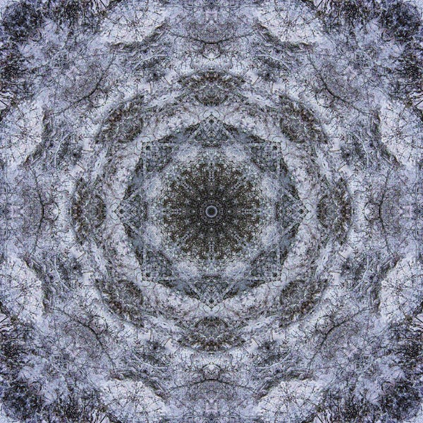 Anna Miller: Colorful Kaleidoscope II by Anna Miller