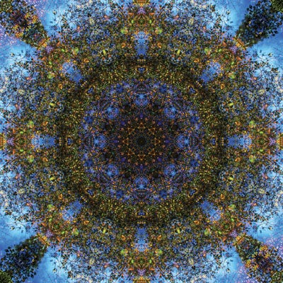 Colorful Kaleidoscope III by Anna Miller canvas print