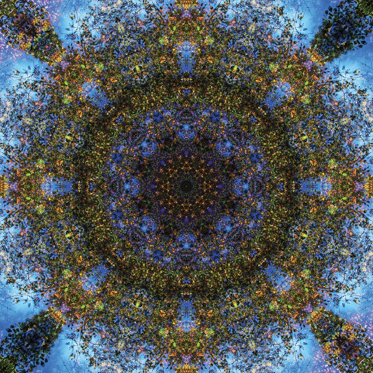 Colorful Kaleidoscope III by Anna Miller wall art