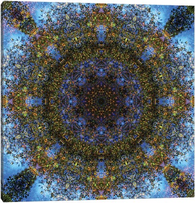 Colorful Kaleidoscope III Canvas Art Print
