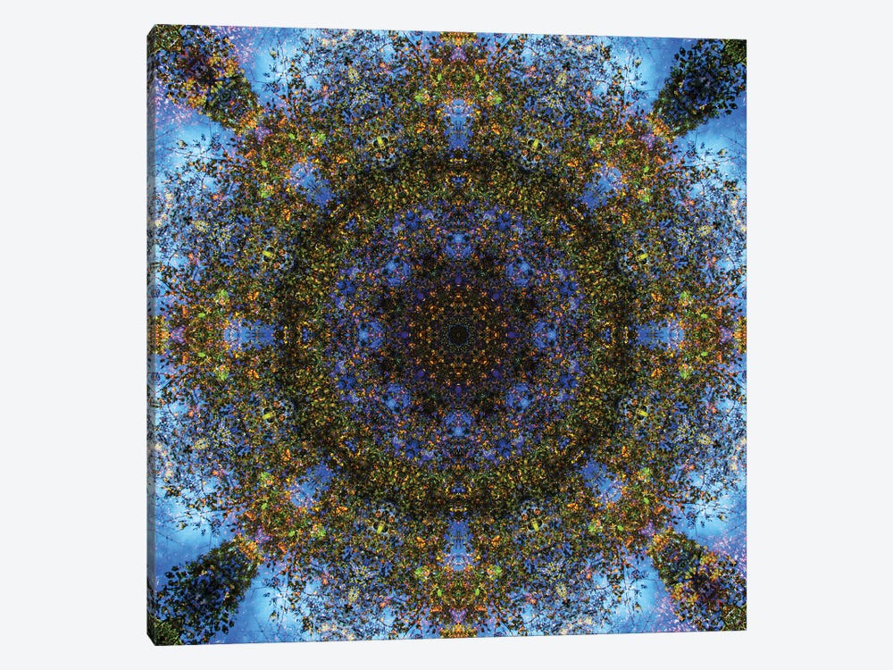 Colorful Kaleidoscope III by Anna Miller 1-piece Canvas Art Print