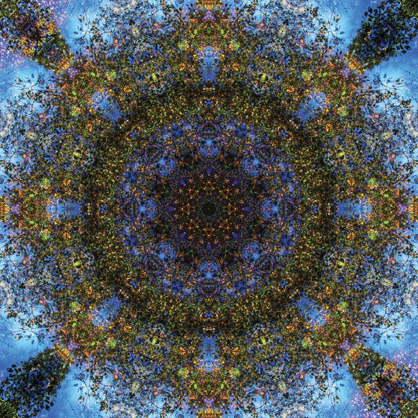 Anna Miller: Colorful Kaleidoscope III by Anna Miller