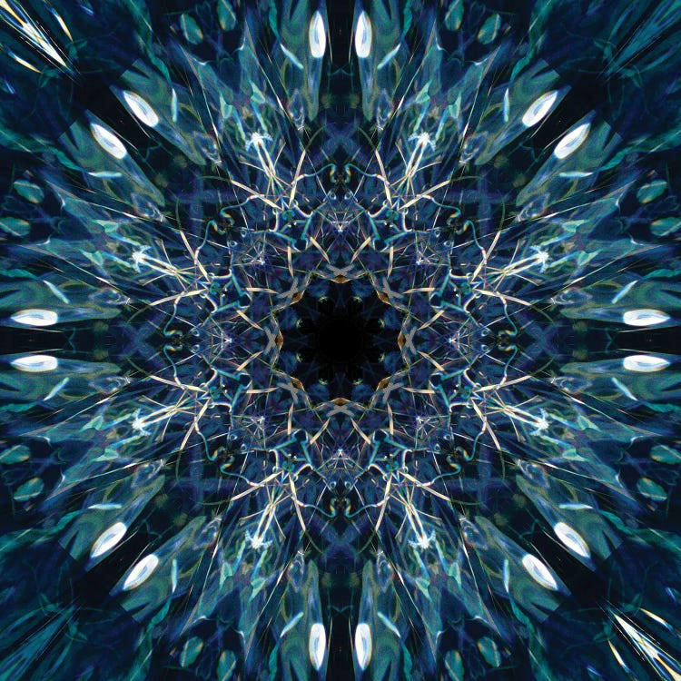 Colorful Kaleidoscope IV by Anna Miller wall art