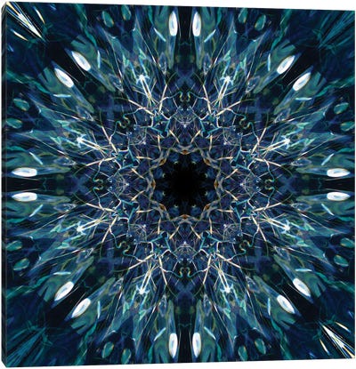 Colorful Kaleidoscope IV Canvas Art Print