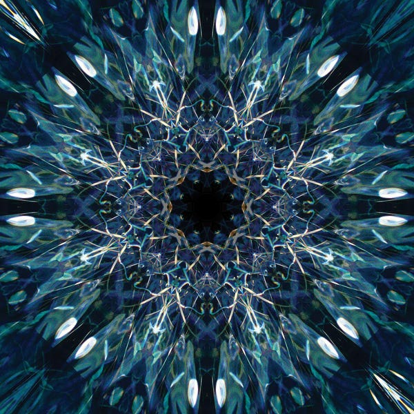 Anna Miller: Colorful Kaleidoscope IV by Anna Miller