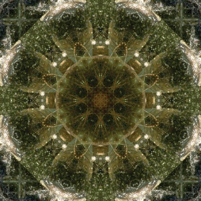 Colorful Kaleidoscope V by Anna Miller acrylic art print