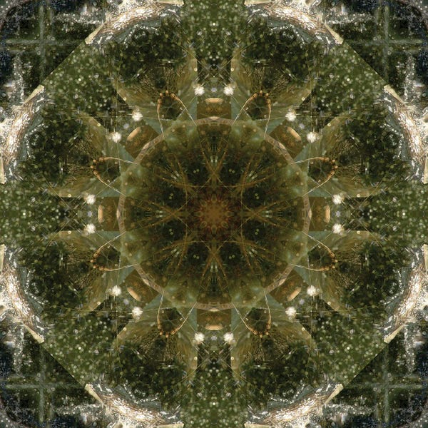 Anna Miller: Colorful Kaleidoscope V by Anna Miller