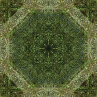 Colorful Kaleidoscope VII by Anna Miller canvas print