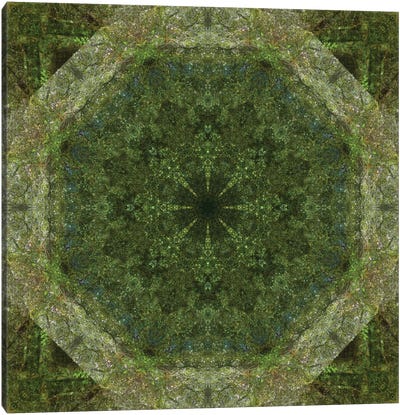 Colorful Kaleidoscope VII Canvas Art Print