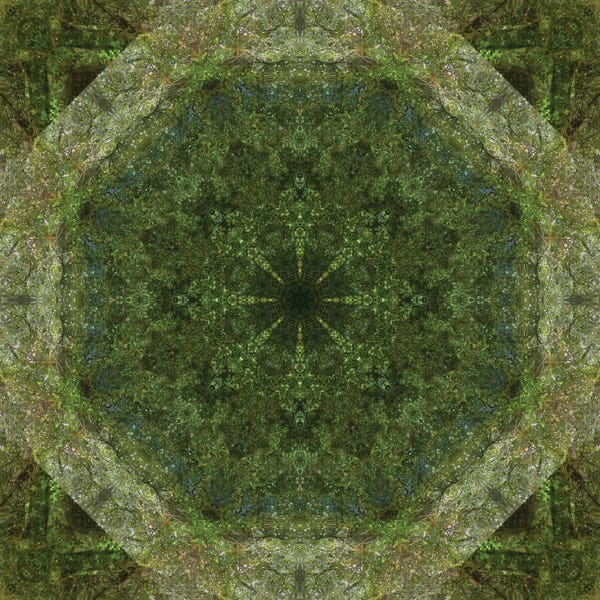 Anna Miller: Colorful Kaleidoscope VII by Anna Miller