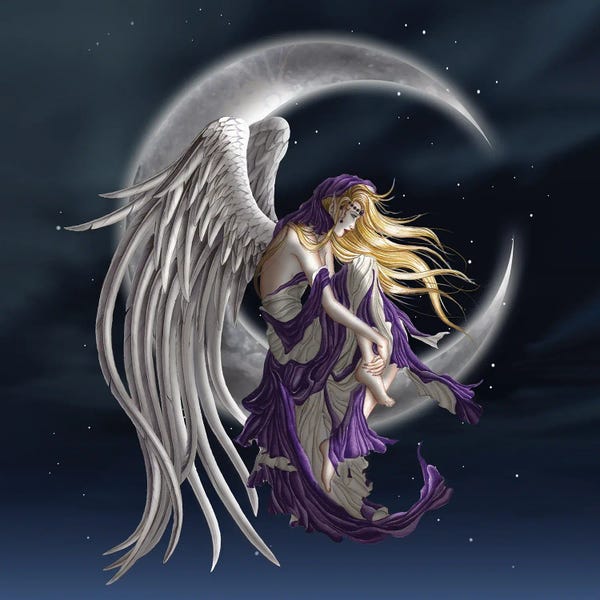 Fairies: Moon Dreamer by Nene Thomas