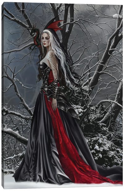 Shadows And Snow Canvas Art Print - Witch Art