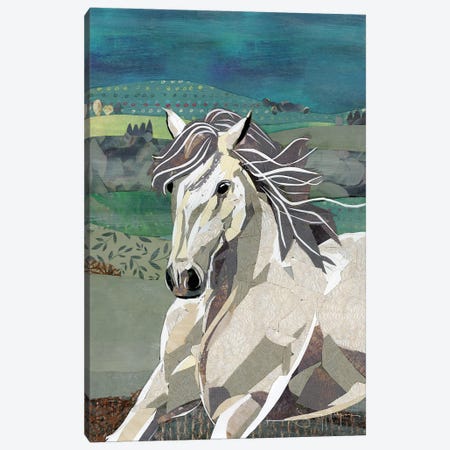 White Horse Freedom Canvas Print #NNM21} by Jenny McGee Canvas Wall Art